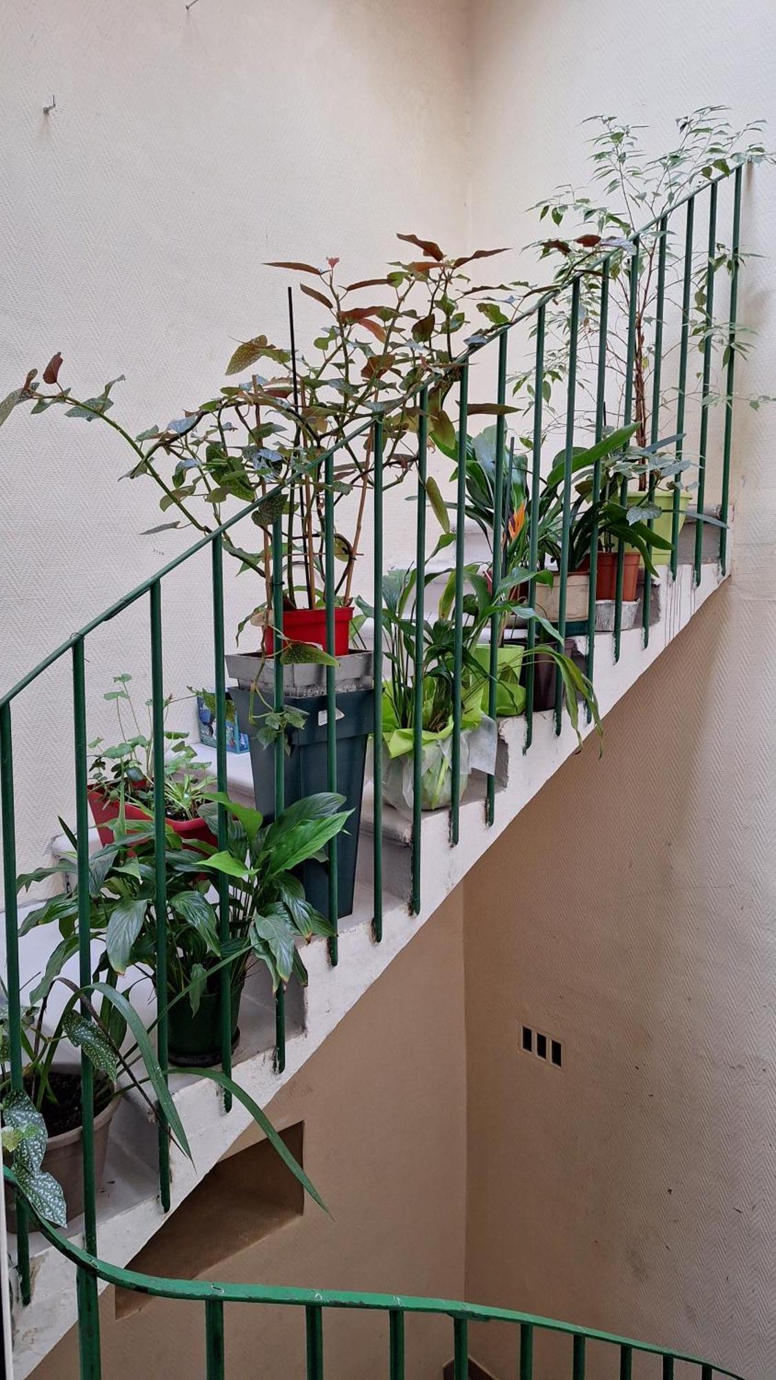 Vacance Et Cure Dans Duplex 80 M2 A Ceret 66400 Zewnętrze zdjęcie